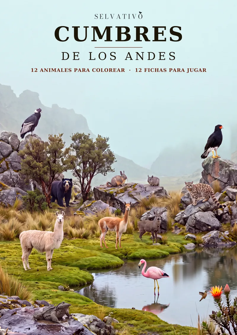 Cumbres de los Andes